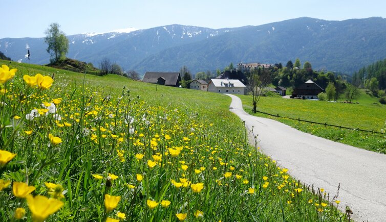 weg nr bei sonnenburg