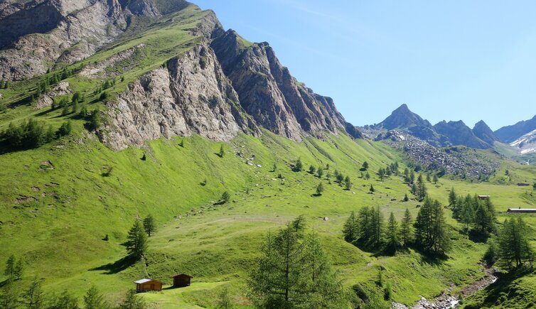 burgumer alm rundblick fr