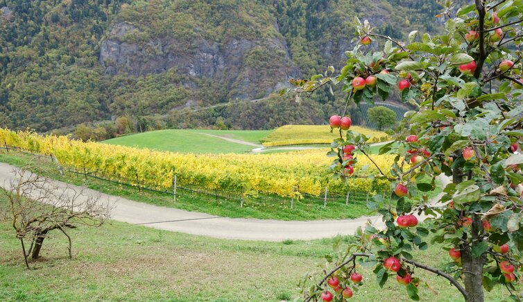 weingut bei kernstocker und voelklhof