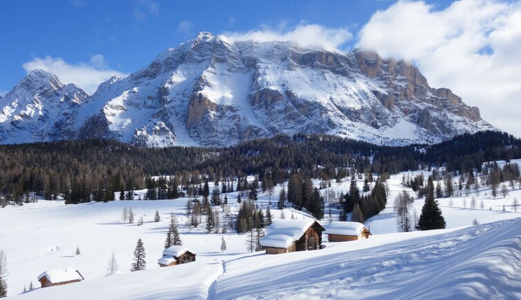 winter armentara wiesen blick zur fanesgruppe