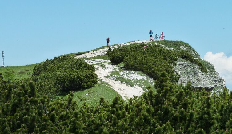 vetta monte roen mtb