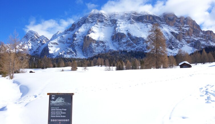 armentara wiesen winter schild naturpark fanes sennes prags