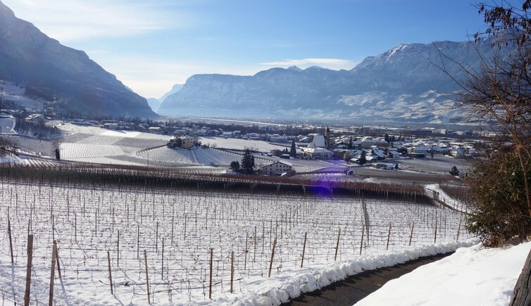 vill bei neumarkt winter