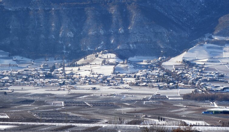 tramin winter