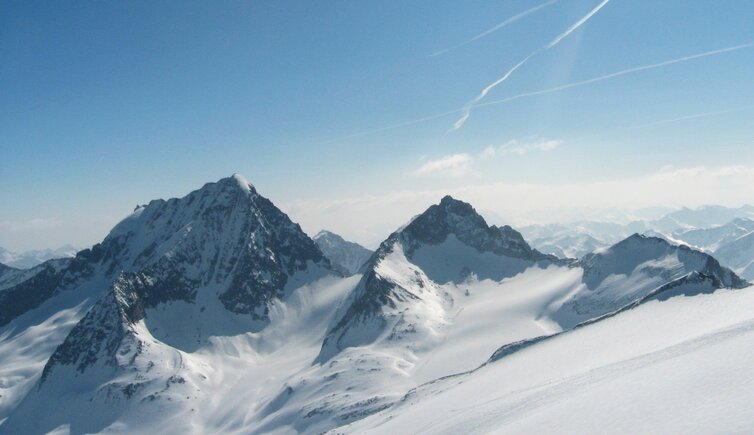 Hochgall Wildgall
