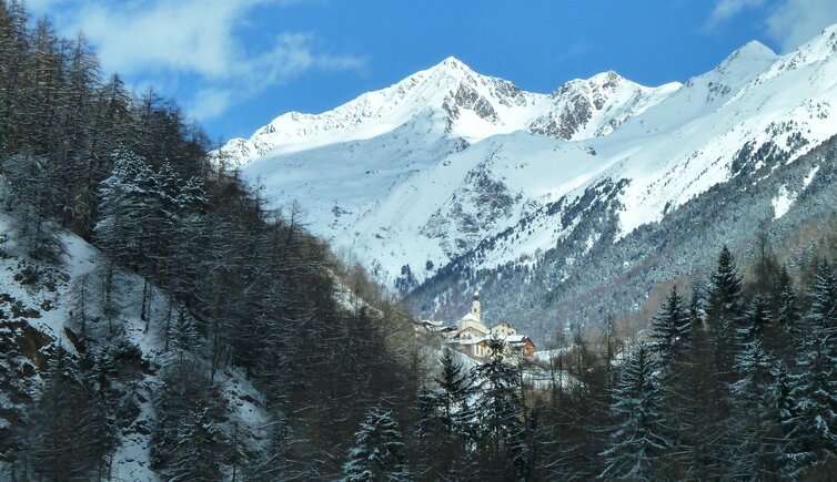 mals planeil winter