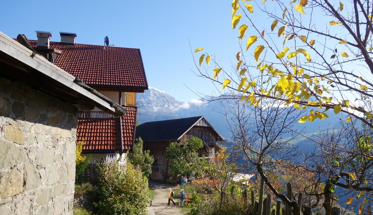 rielinger hof buschenschank bei siffianer leiten