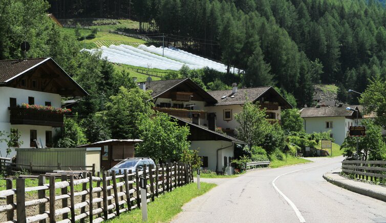 Vinschgau Martelltal Ennewasser Erdbeeren