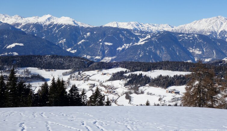 langfenn aussicht umgebung von moelten winter