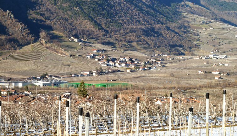 galsaun bei kastelbell winter kein schnee