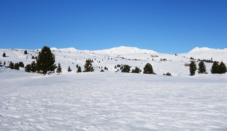 winter villanderer alm rundblick fr