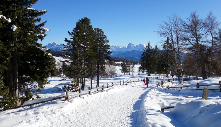 winterwandern villanderer alm