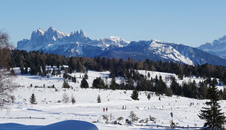 villanderer alm winterwege dahinter dolomiten geislergruppe