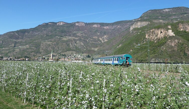 apfelbluete bei terlan zug eisenbahn