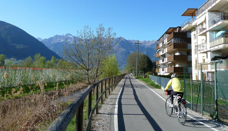 etschtal radweg bei sinich radfahrer