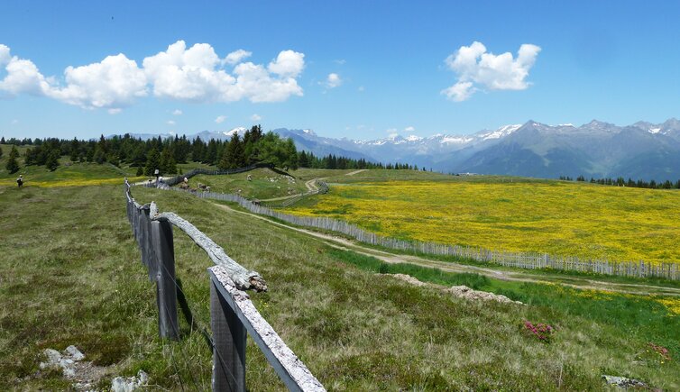 wiesen und schupfen bei rastnerhuette fr