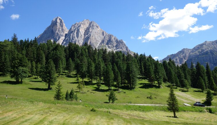 wiesen unter dem wuerzjoch blick auf peitlerkofel