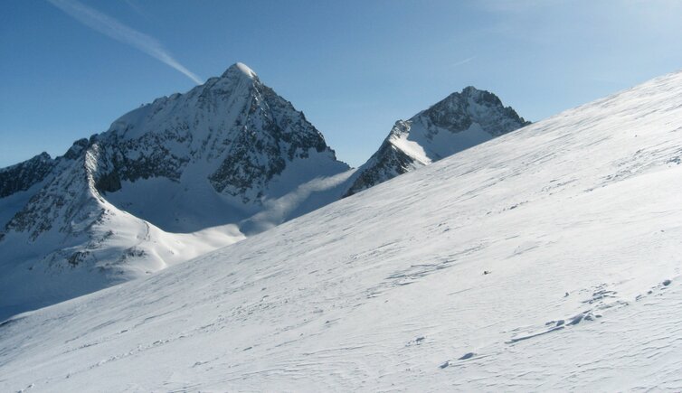 Hochgall und Wildgall von Tristenkees aus gesehen