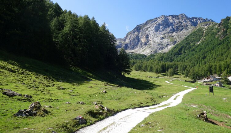 wiesen goeflaner alm