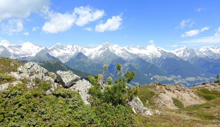 zillertaler alpen alpenhauptkamm mit ahrntal