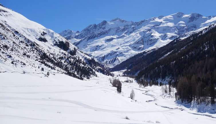 langtaufers talschluss melag winter langlaufloipen