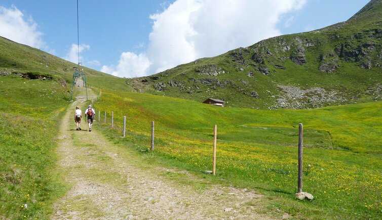 weg von zassleralm richtung weissenalm wanderer