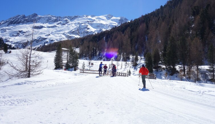 melager alm winter langlauf loipe skifahrer