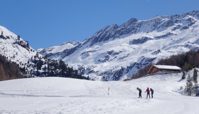 melager alm winter langlauf loipe skifahrer