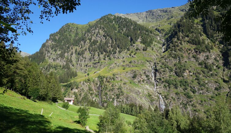 wiesen bei rappenhoefe magdfeld