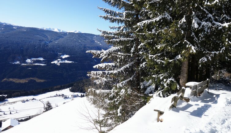 landschaft bei nunewieser terenten