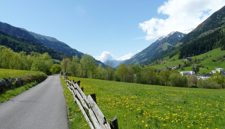 wiesen bei st martin passeier