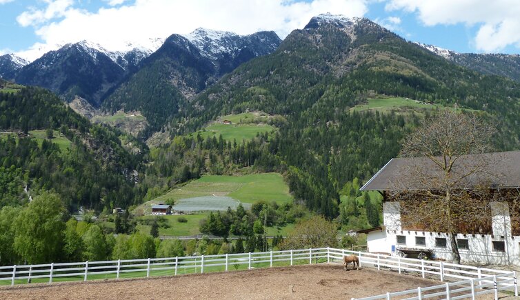 bei hotel andreus passeier reitstall