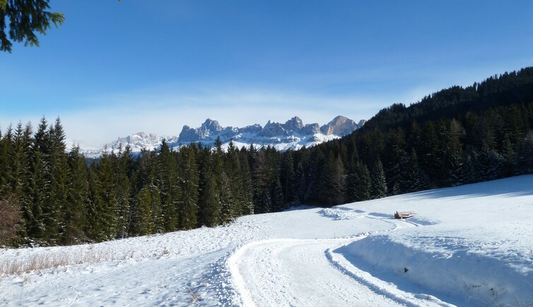 obereggen wanderweg winter blick auf rosengarten