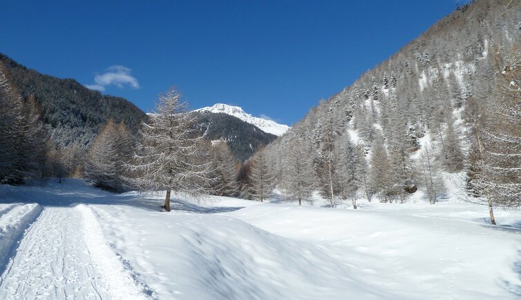 taufers muenstertal winter avignatal