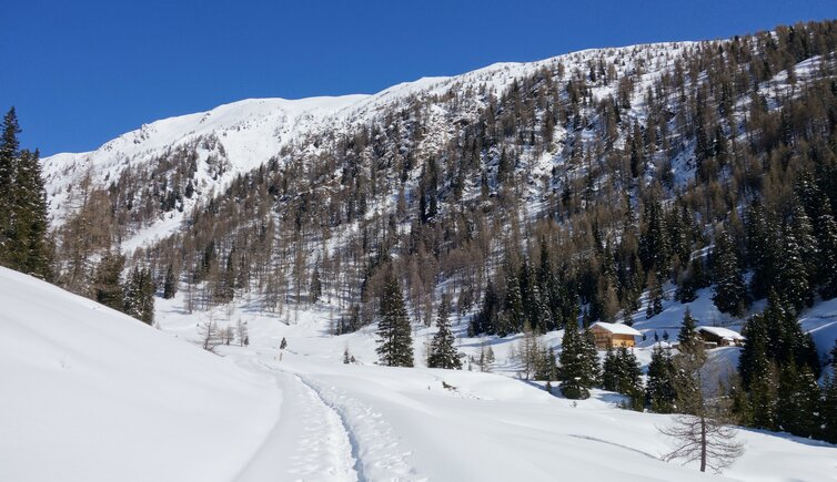 silvestertal winter toblacher hoehenweg bei silvesteralm dahinter strickberg und marchkinkele