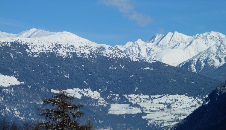 muenstertal winter blick richtung vinschgau oetztaler alpen mit saldurspitze