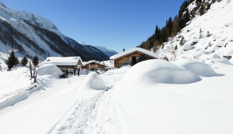 trinksteinalm und alder huette ahrntal prettau winter