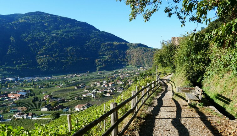 algunder waalweg aussicht forst muehlbach plars