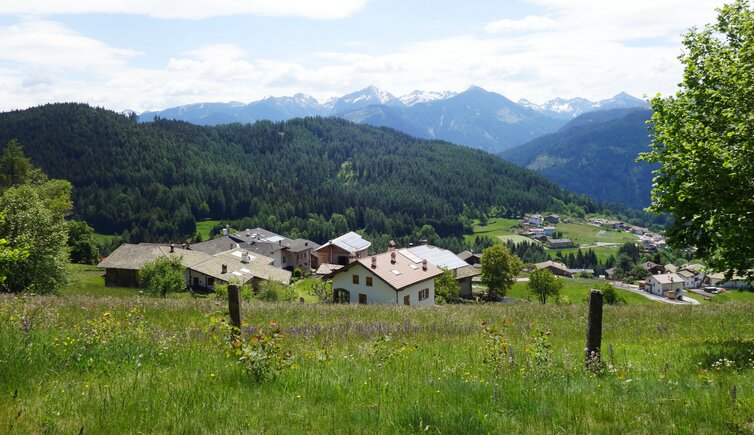 wiesen am weg a bei altrei