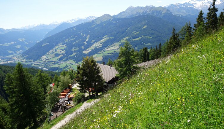 prantneralm oberhalb sterzing