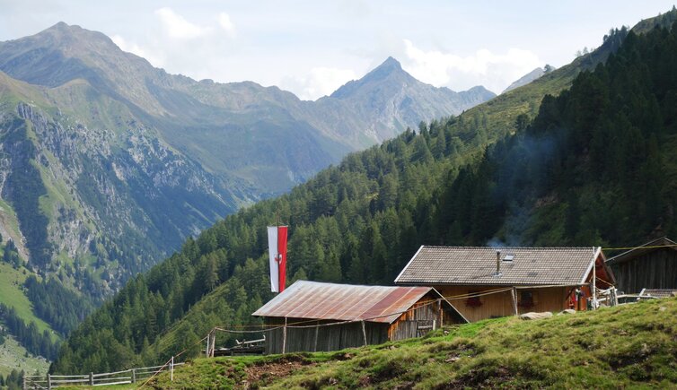 ebenberg alm im unterbergtal