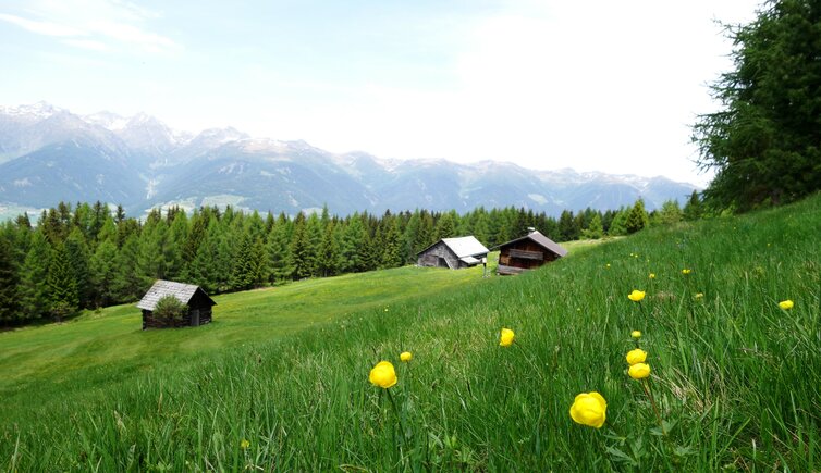 wiesen und almhuetten oberhalb von getzenberg