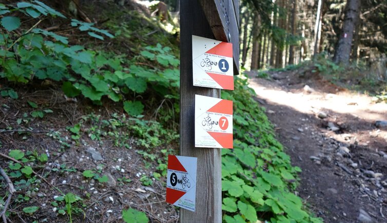 mtb strecken wegweiser weg von trudner horn nach truden