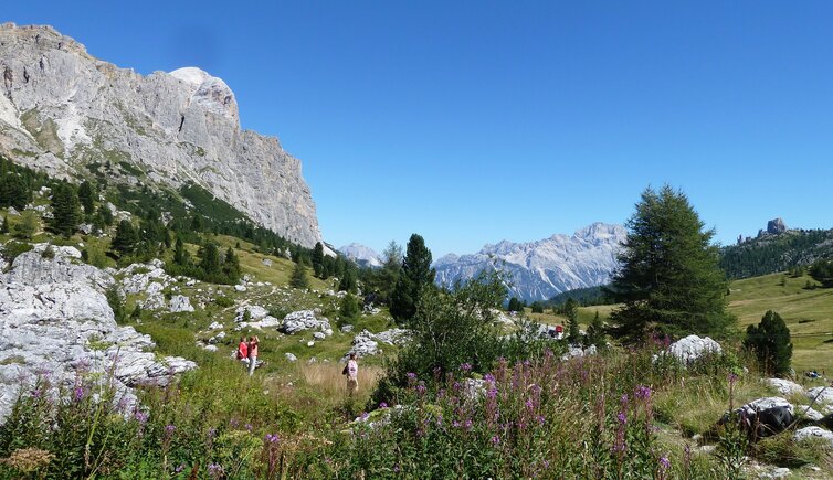 wiesen am falzarego pass