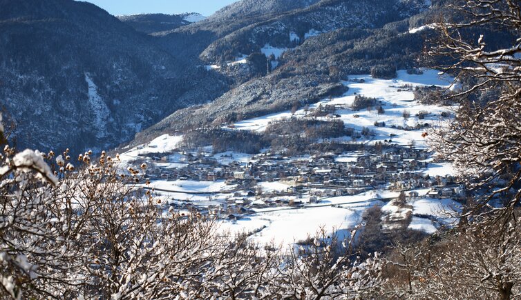 Barbian Winter