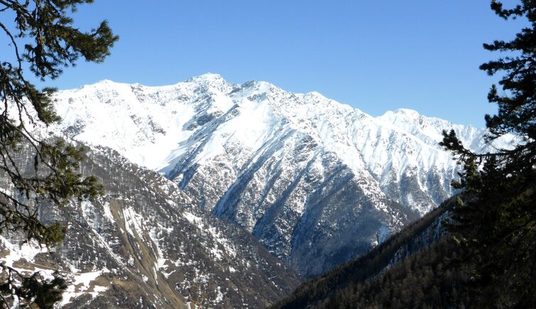 schnalstal blick auf texelgruppe winter