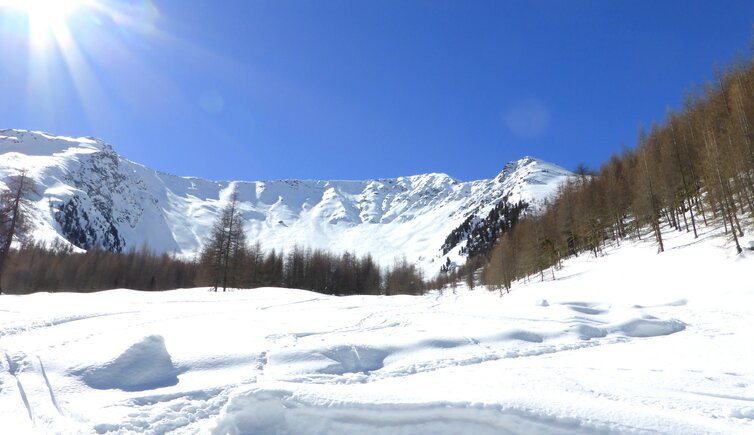 lafetzalm wiesen im winter