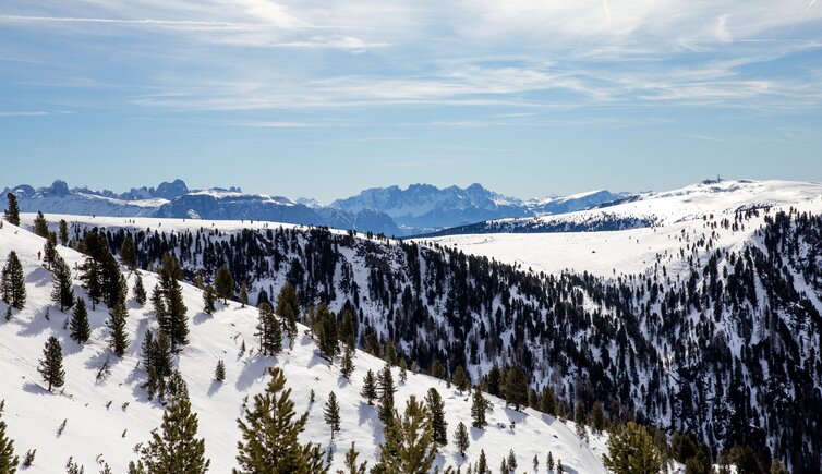 reinswald bergpanorama dolomiten winter