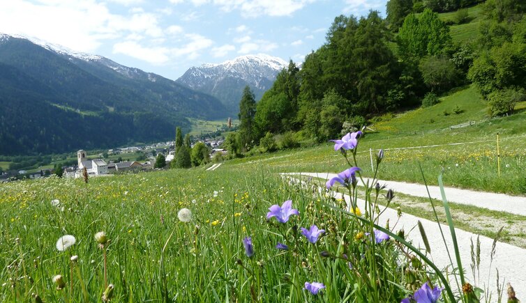 muestair graubuenden schweiz muenstertal richtung ofenpass