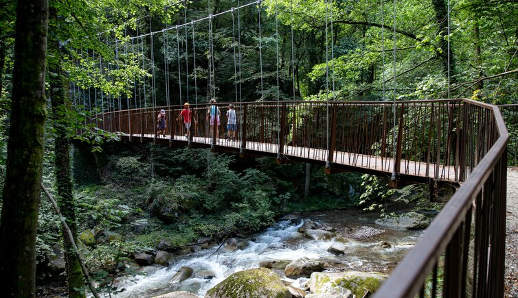 gaulschlucht falschauer bruecke